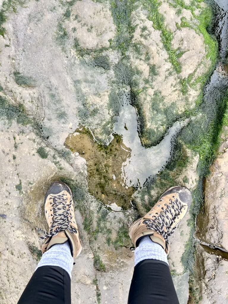Une emprunte de dinosaure sur les rochers de la plage de Staffin sur l'île de Skye.